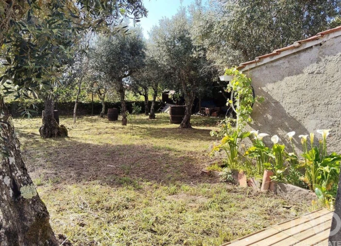 Moradia T5 para Venda em Pedrogão Grande Foto 25