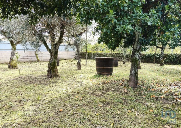 Moradia T5 para Venda em Pedrogão Grande Foto 6