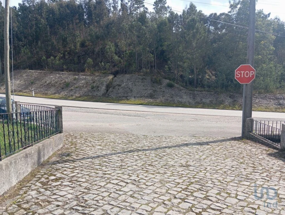 Terreno para Venda em São Miguel, Santa Eufémia e Rabaçal Foto 10