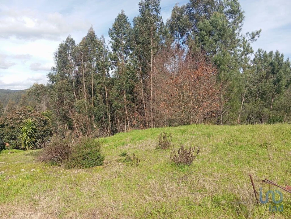 Terreno para Venda em São Miguel, Santa Eufémia e Rabaçal Foto 3