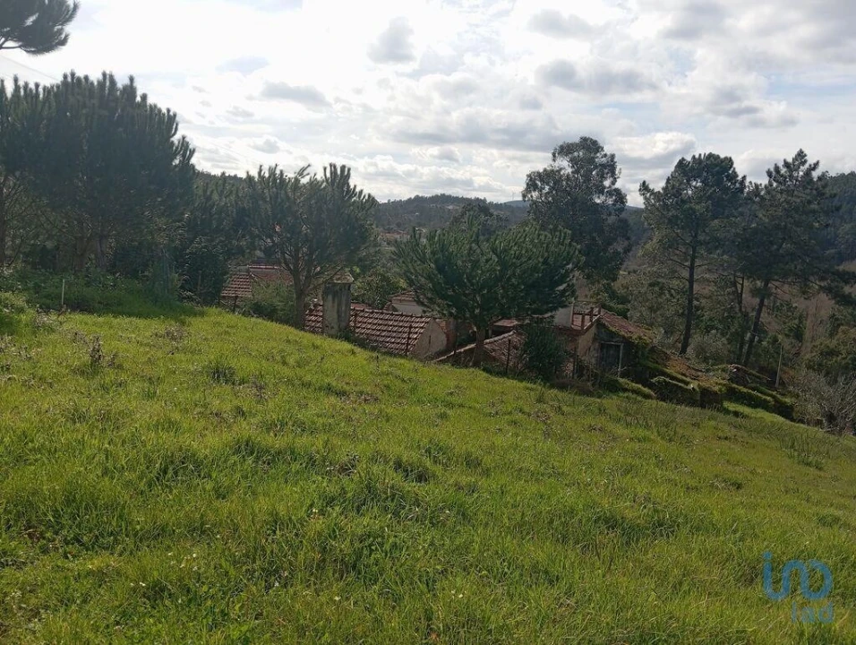 Terreno para Venda em São Miguel, Santa Eufémia e Rabaçal Foto 4