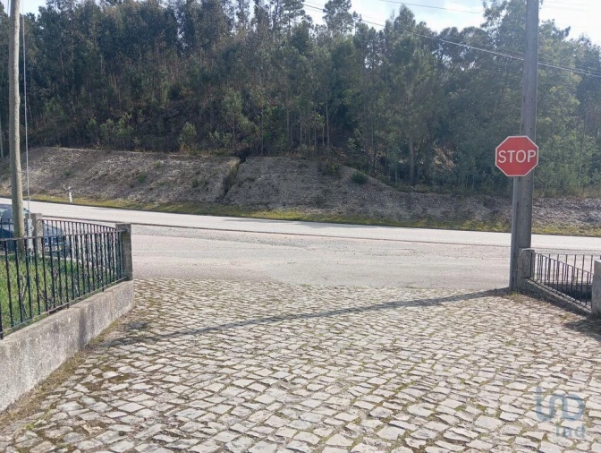 Terreno para Venda em São Miguel, Santa Eufémia e Rabaçal Foto 10