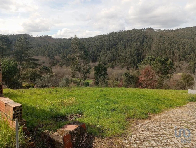 Terreno para Venda em São Miguel, Santa Eufémia e Rabaçal