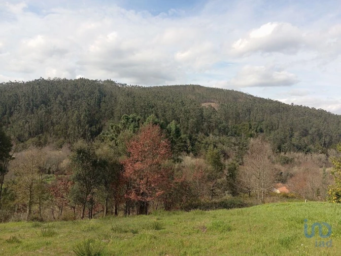 Terreno para Venda em São Miguel, Santa Eufémia e Rabaçal Foto 6