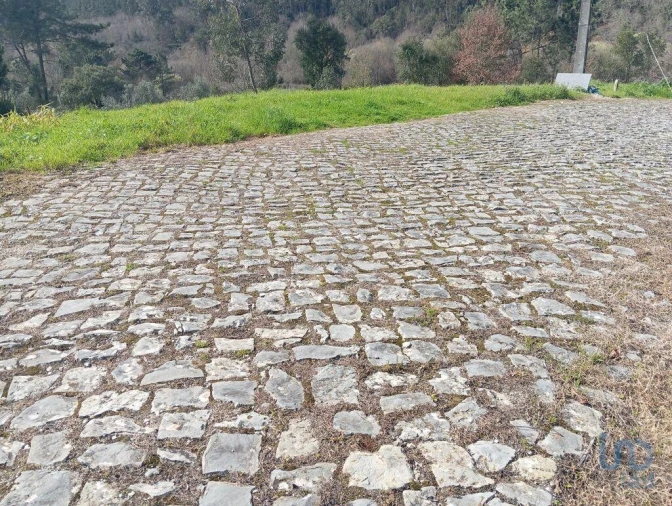 Terreno para Venda em São Miguel, Santa Eufémia e Rabaçal Foto 9