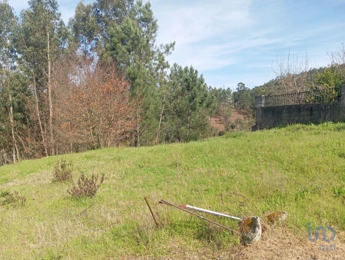 Terreno para Venda em São Miguel, Santa Eufémia e Rabaçal Foto 2