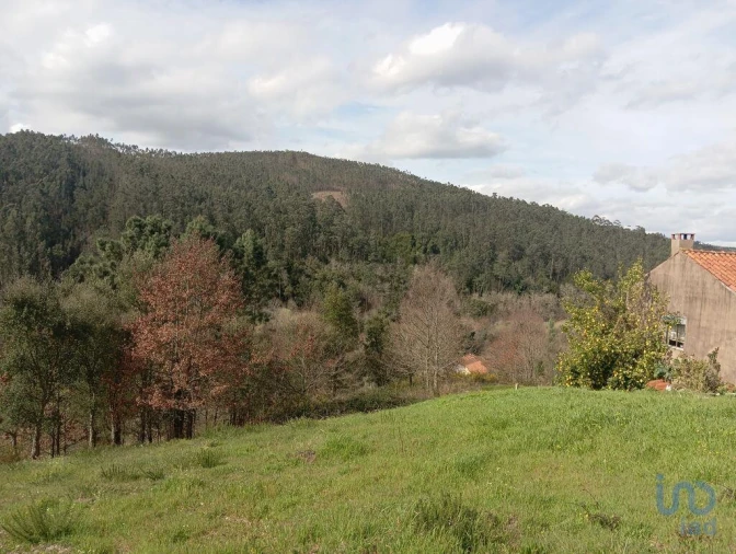 Terreno para Venda em São Miguel, Santa Eufémia e Rabaçal Foto 5