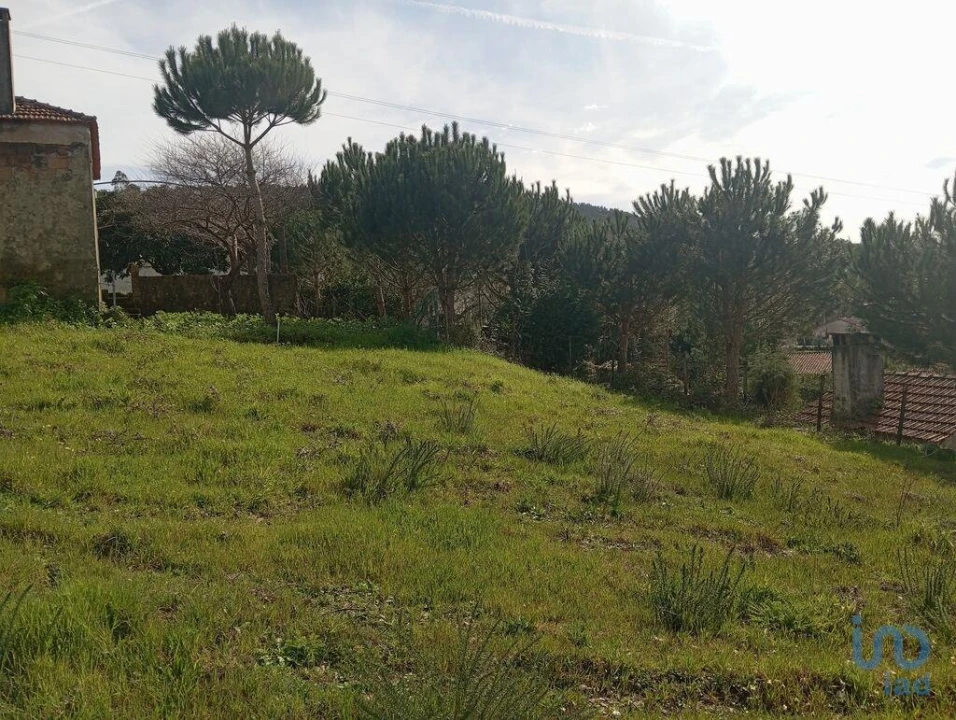 Terreno para Venda em São Miguel, Santa Eufémia e Rabaçal Foto 7