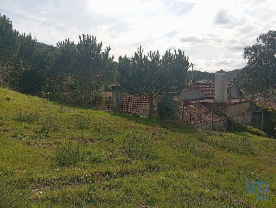 Terreno para Venda em São Miguel, Santa Eufémia e Rabaçal Foto 8
