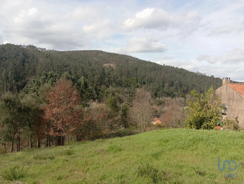 Terreno para Venda em São Miguel, Santa Eufémia e Rabaçal Foto 5