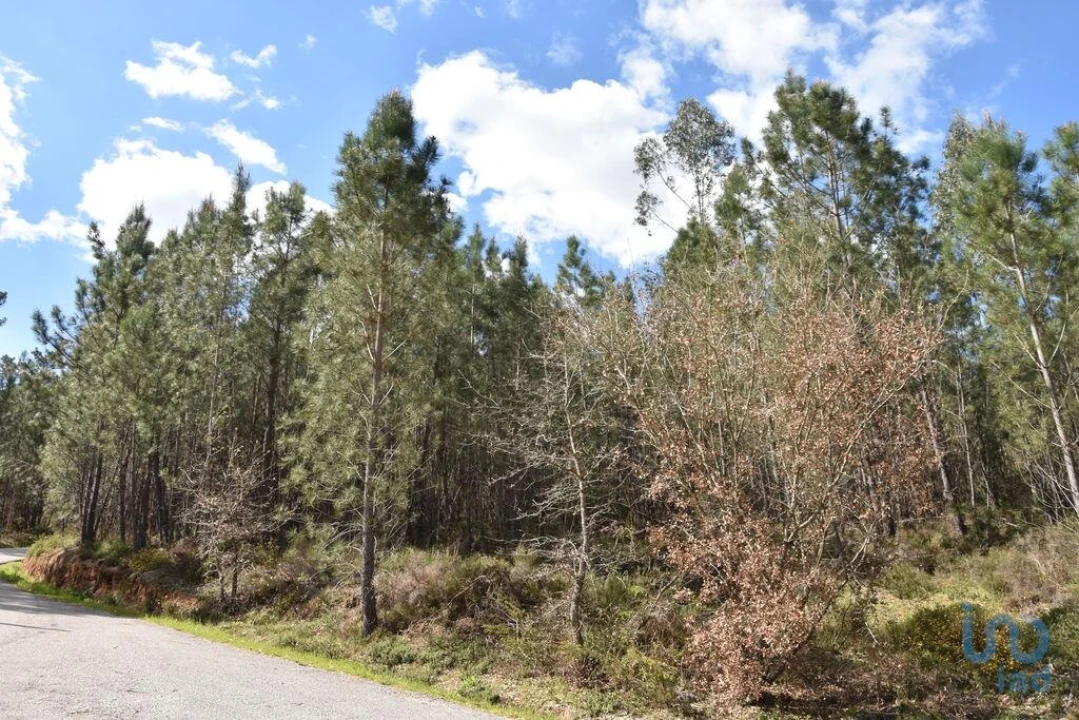 Terreno para Venda em Rio de Couros e Casal dos Bernardos Foto 4