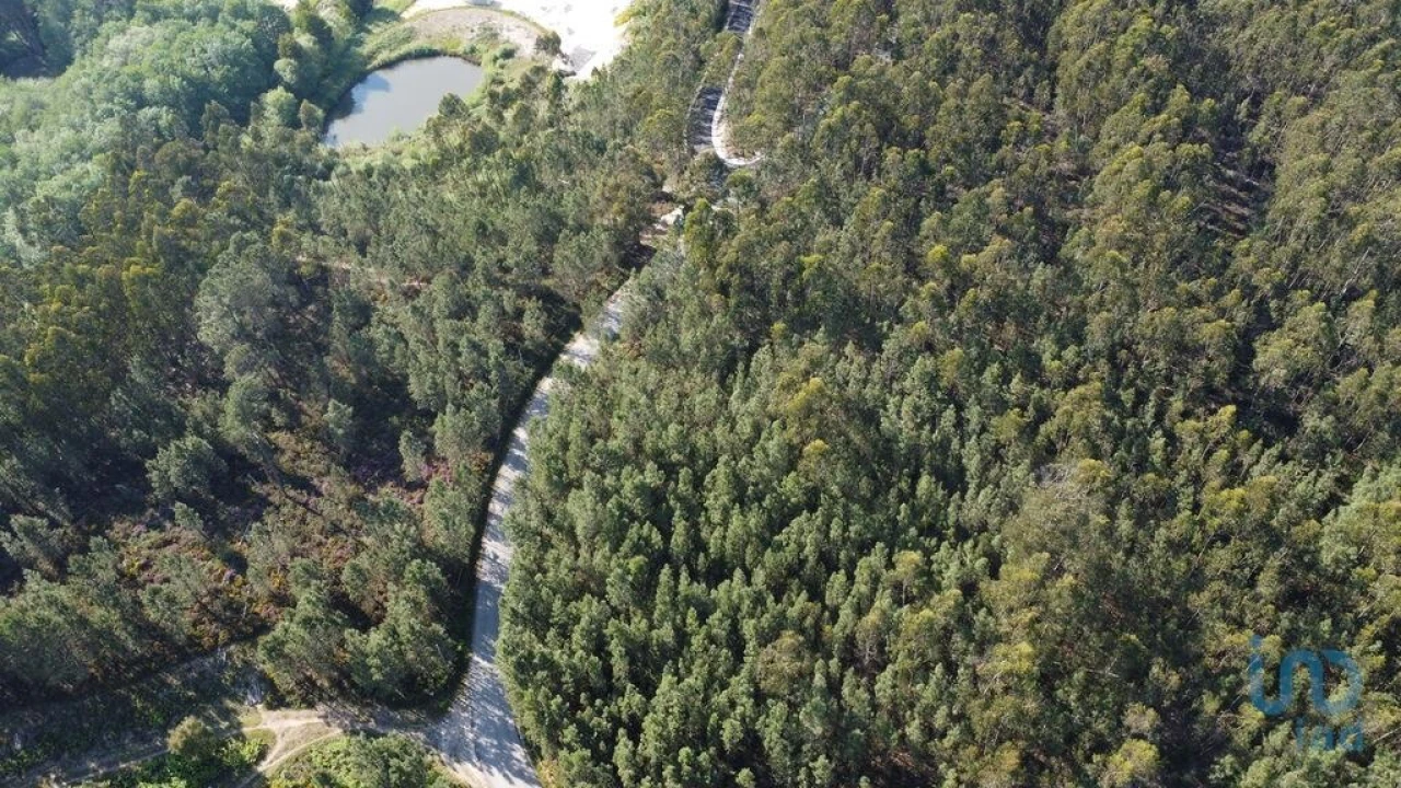 Terreno para Venda em Rio de Couros e Casal dos Bernardos Foto 1