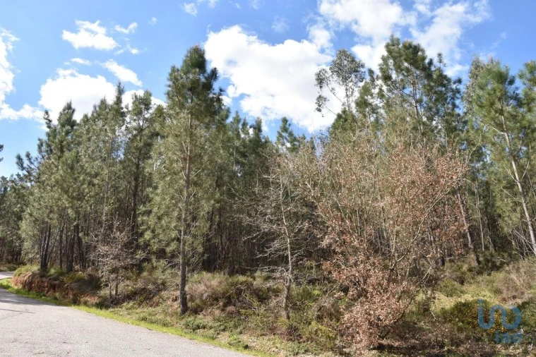Terreno para Venda em Rio de Couros e Casal dos Bernardos Foto 4