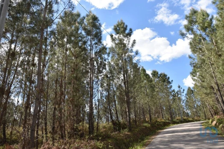 Terreno para Venda em Rio de Couros e Casal dos Bernardos Foto 8