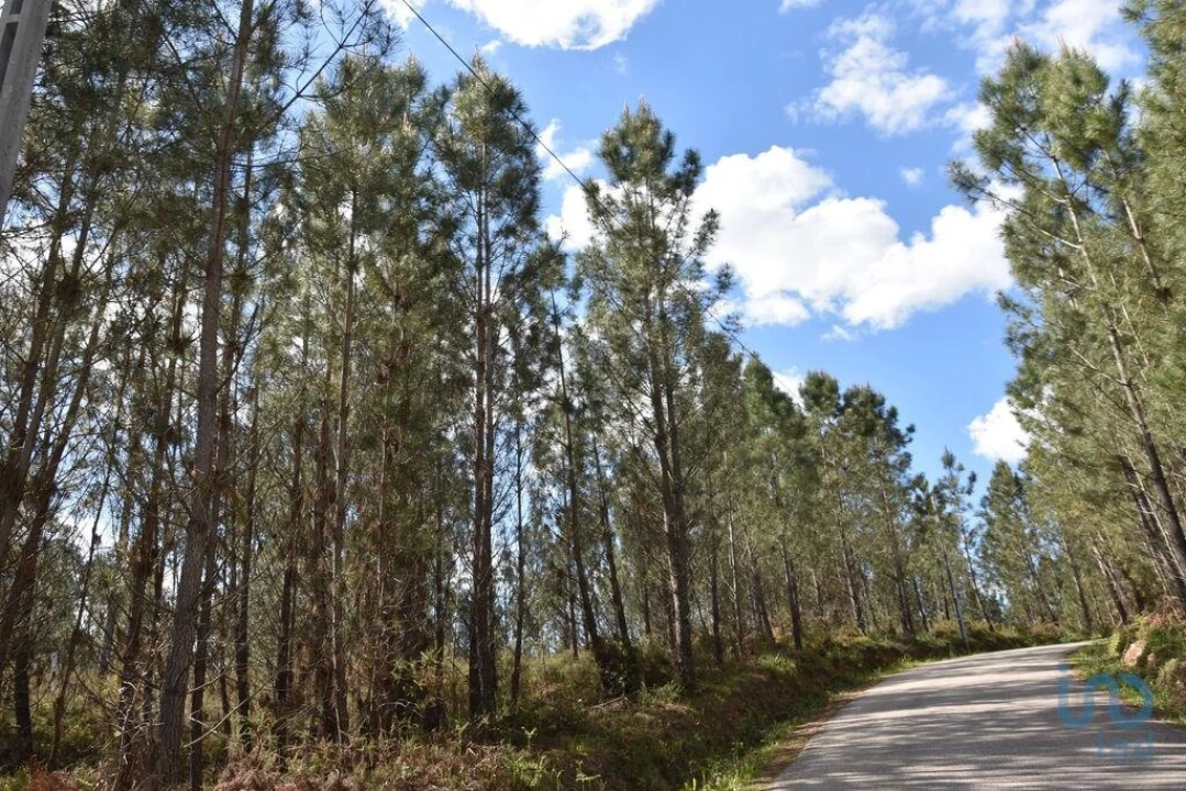Terreno para Venda em Rio de Couros e Casal dos Bernardos Foto 8