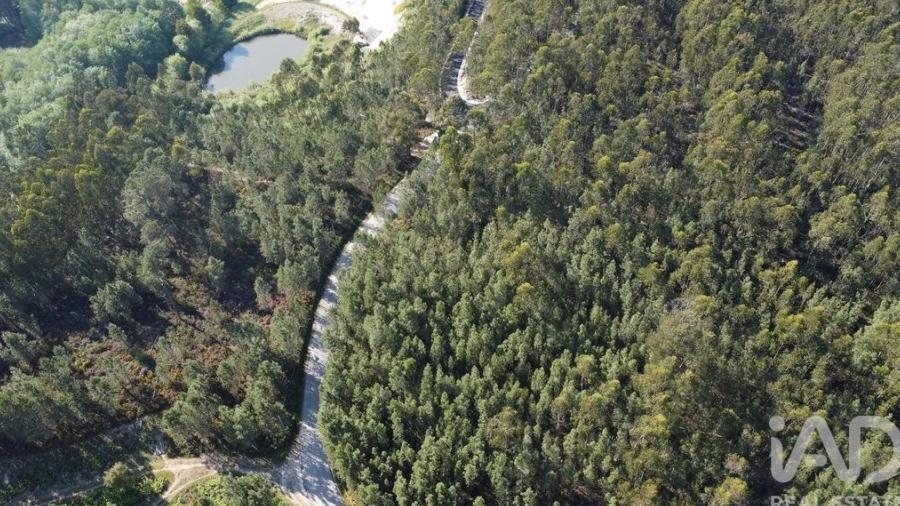 Terreno para Venda em Rio de Couros e Casal dos Bernardos