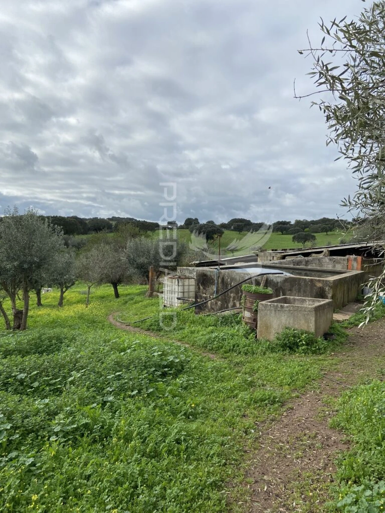 Moradia T1 para Venda em Capelins (Santo Antonio) Foto 2