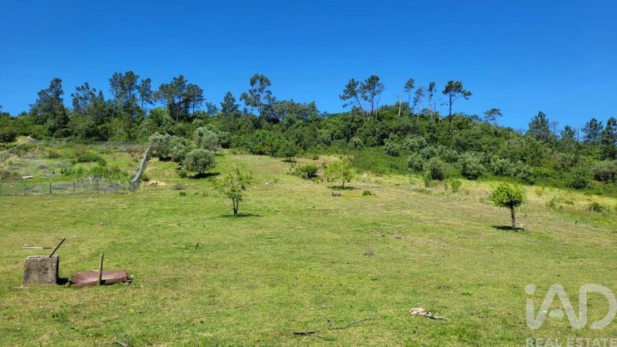 Terreno para Venda em Arrimal e Mendiga Foto 11