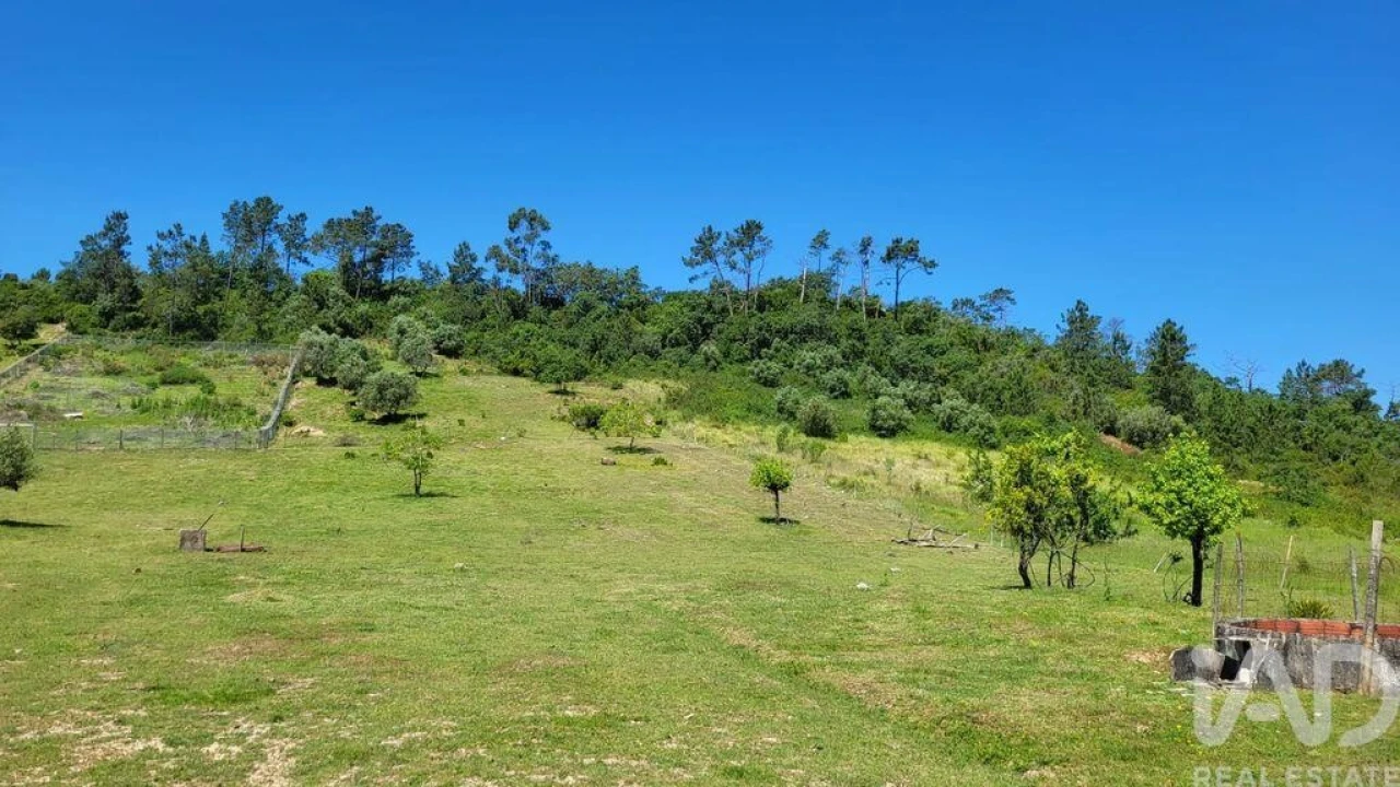 Terreno para Venda em Arrimal e Mendiga Foto 10