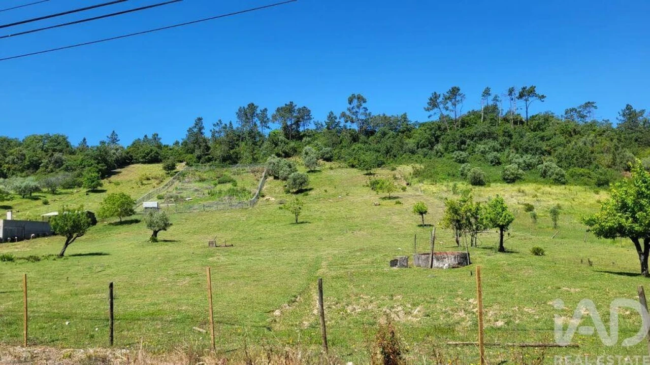 Terreno para Venda em Arrimal e Mendiga Foto 25