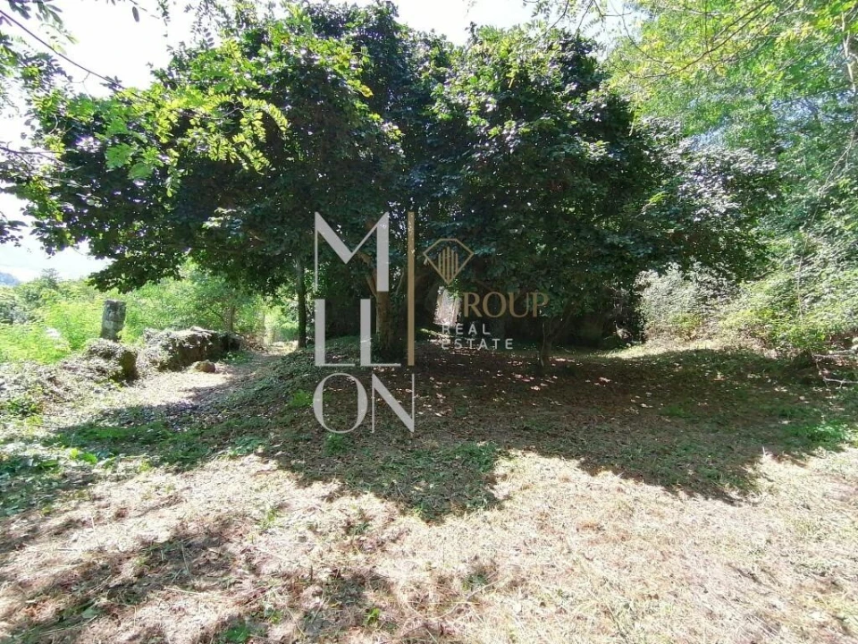 Quinta T5 para Venda em Paredes de Viadores e Manhuncelos Foto 1