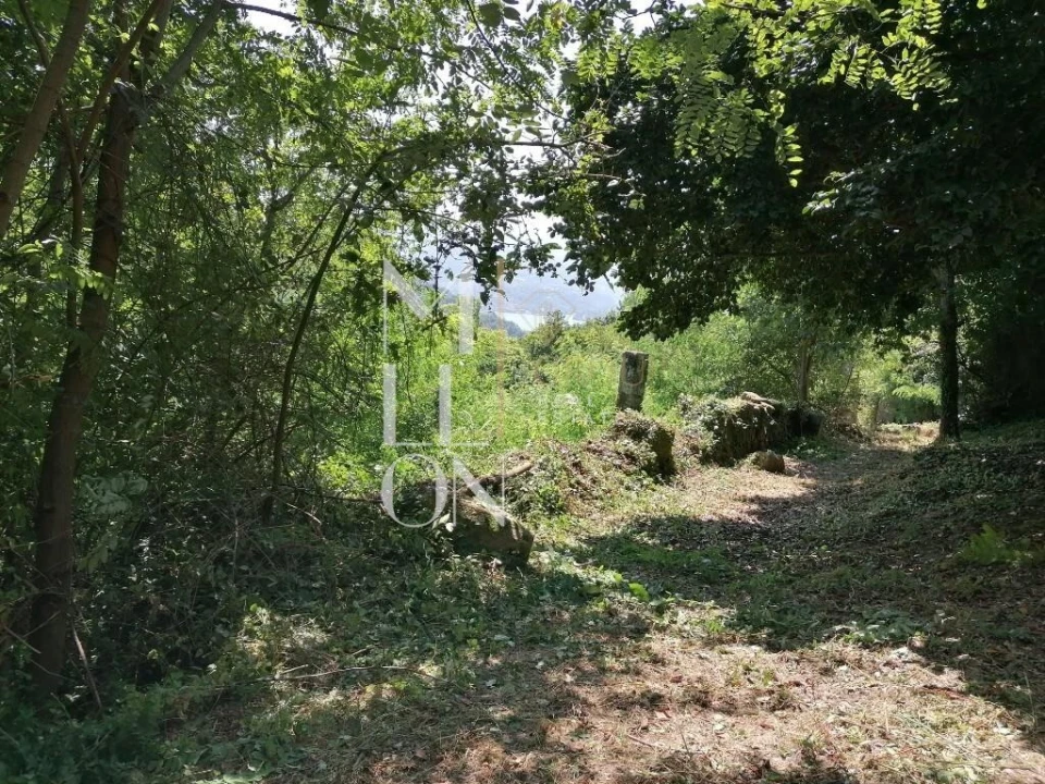 Quinta T5 para Venda em Paredes de Viadores e Manhuncelos Foto 8