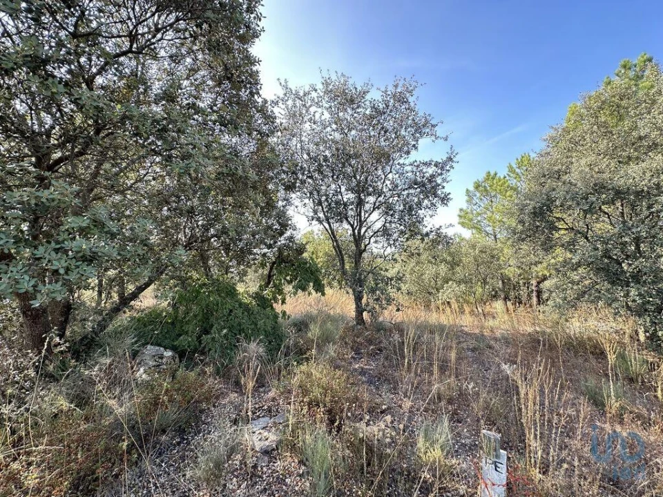 Terreno para Venda em Açores e Velosa Foto 5