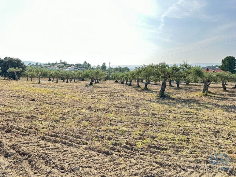 Terreno para Venda em Açores e Velosa Foto 6
