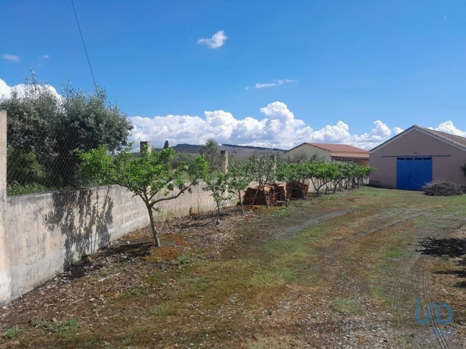 Terreno para Venda em Capinha Foto 10