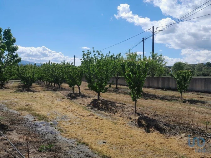 Terreno para Venda em Capinha Foto 11