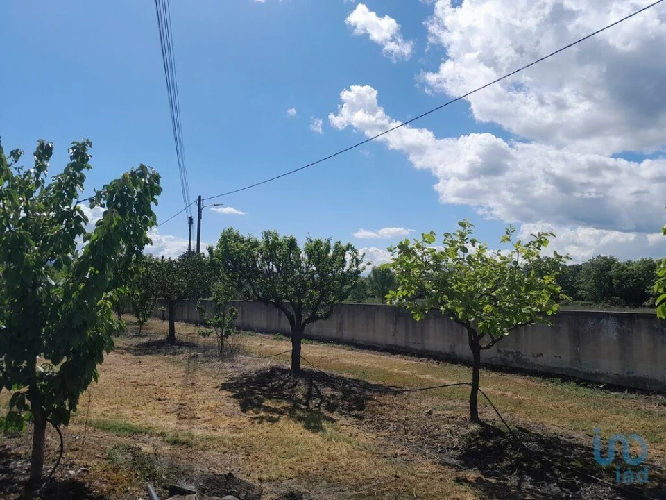 Terreno para Venda em Capinha Foto 13