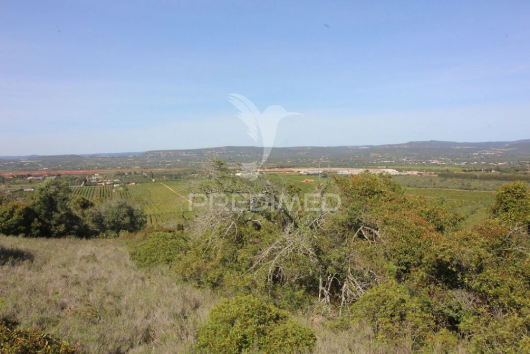 Terreno para Venda em Algoz e Tunes Foto 13