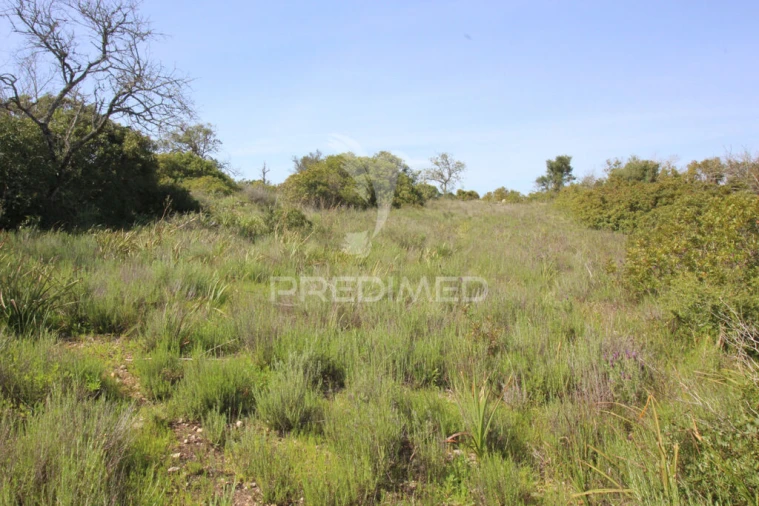 Terreno para Venda em Algoz e Tunes Foto 9