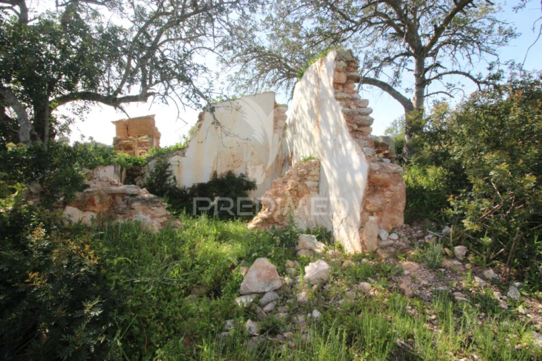 Terreno para Venda em Algoz e Tunes Foto 4