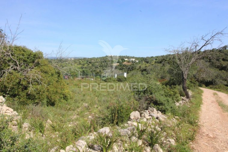 Terreno para Venda em Algoz e Tunes Foto 5