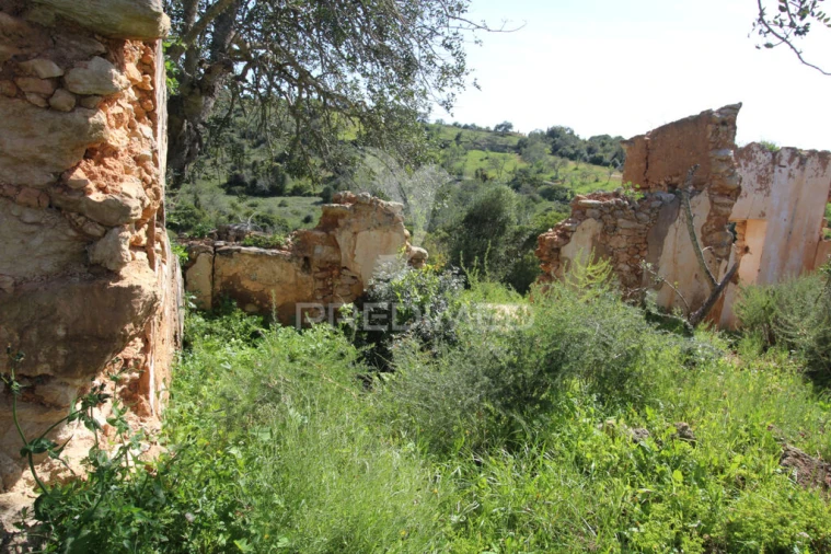 Terreno para Venda em Algoz e Tunes Foto 2