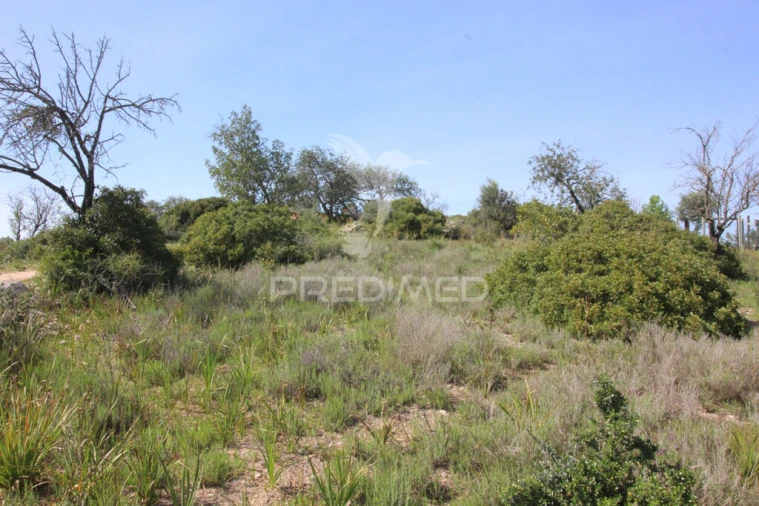 Terreno para Venda em Algoz e Tunes Foto 8