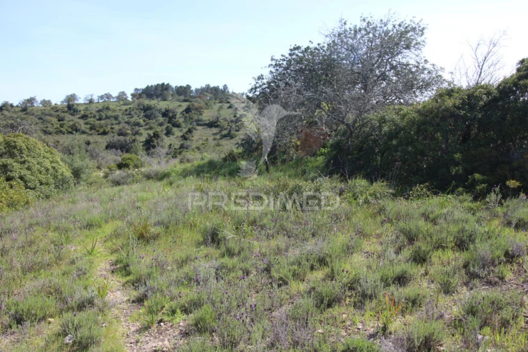 Terreno para Venda em Algoz e Tunes Foto 15