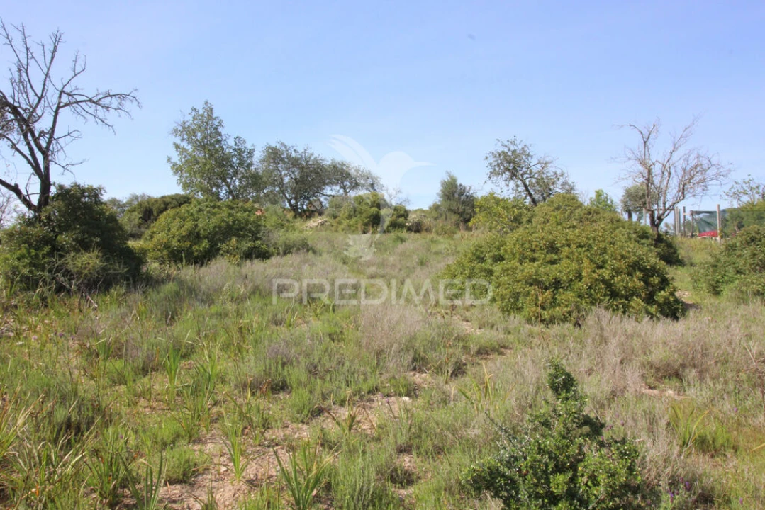 Terreno para Venda em Algoz e Tunes Foto 6