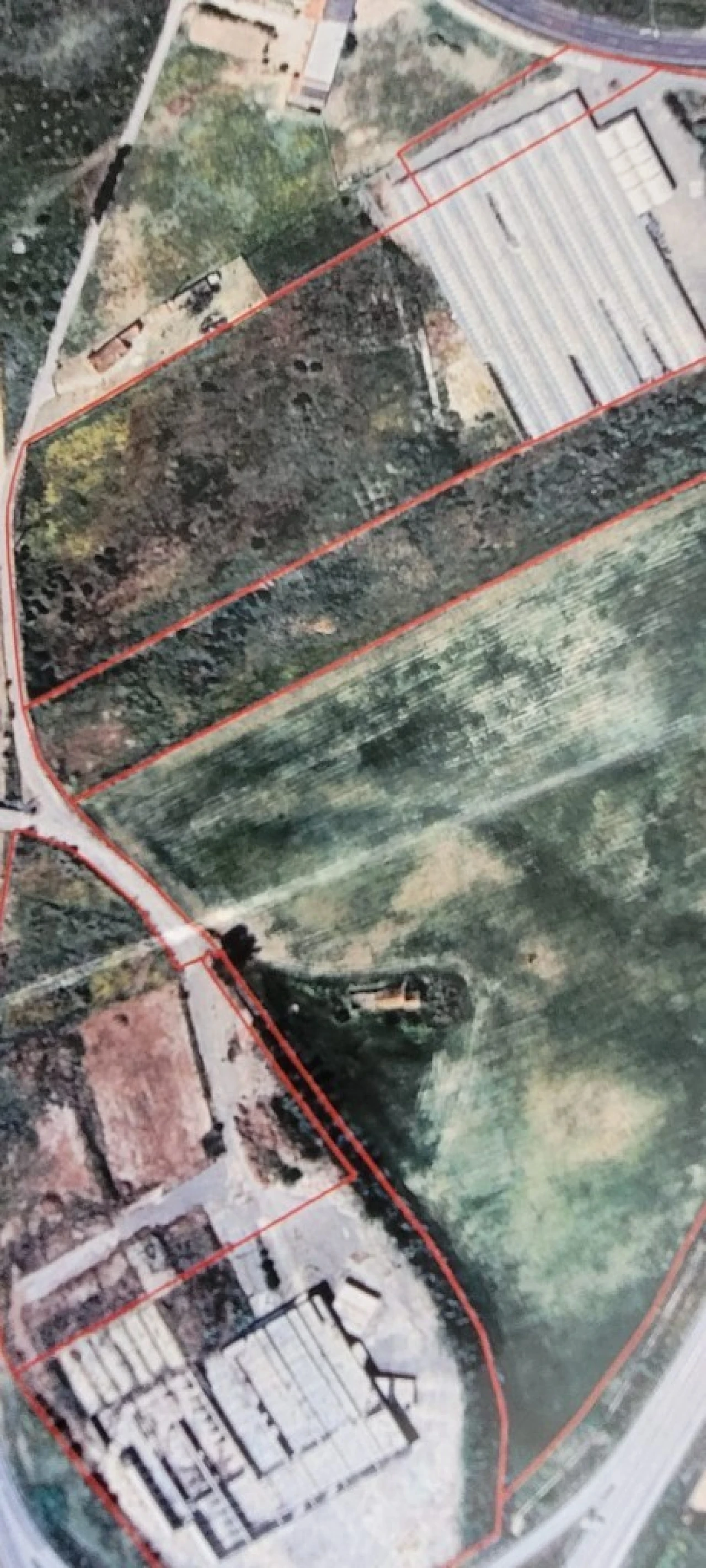 Terreno para Venda em Romeira e Várzea Foto 1