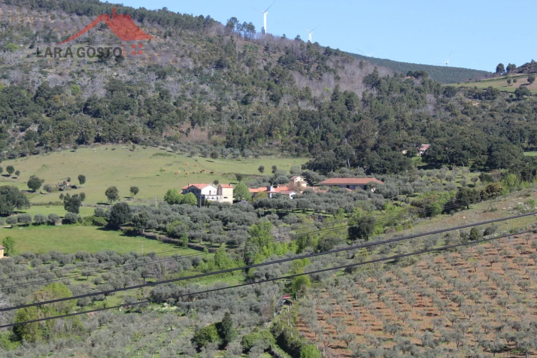 Quinta T20 para Venda em Gebelim e Soeima Foto 3