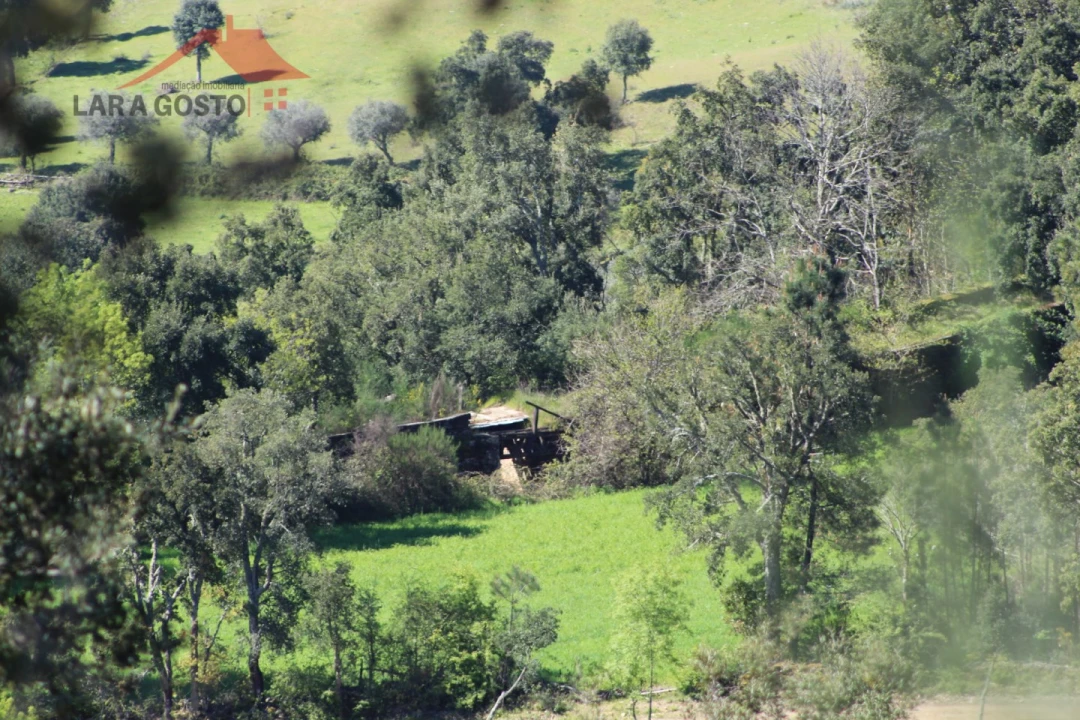 Quinta T20 para Venda em Gebelim e Soeima Foto 9