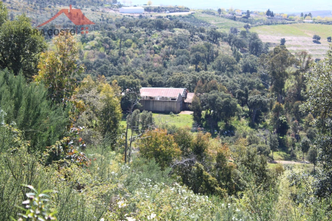 Quinta T20 para Venda em Gebelim e Soeima Foto 17