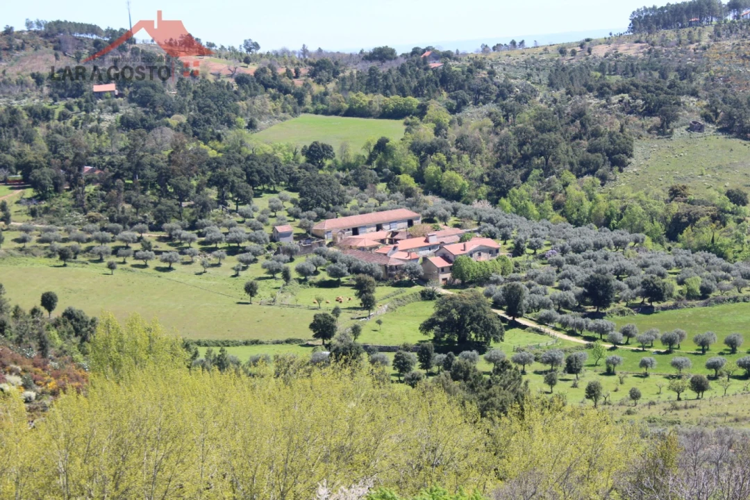 Quinta T20 para Venda em Gebelim e Soeima Foto 2