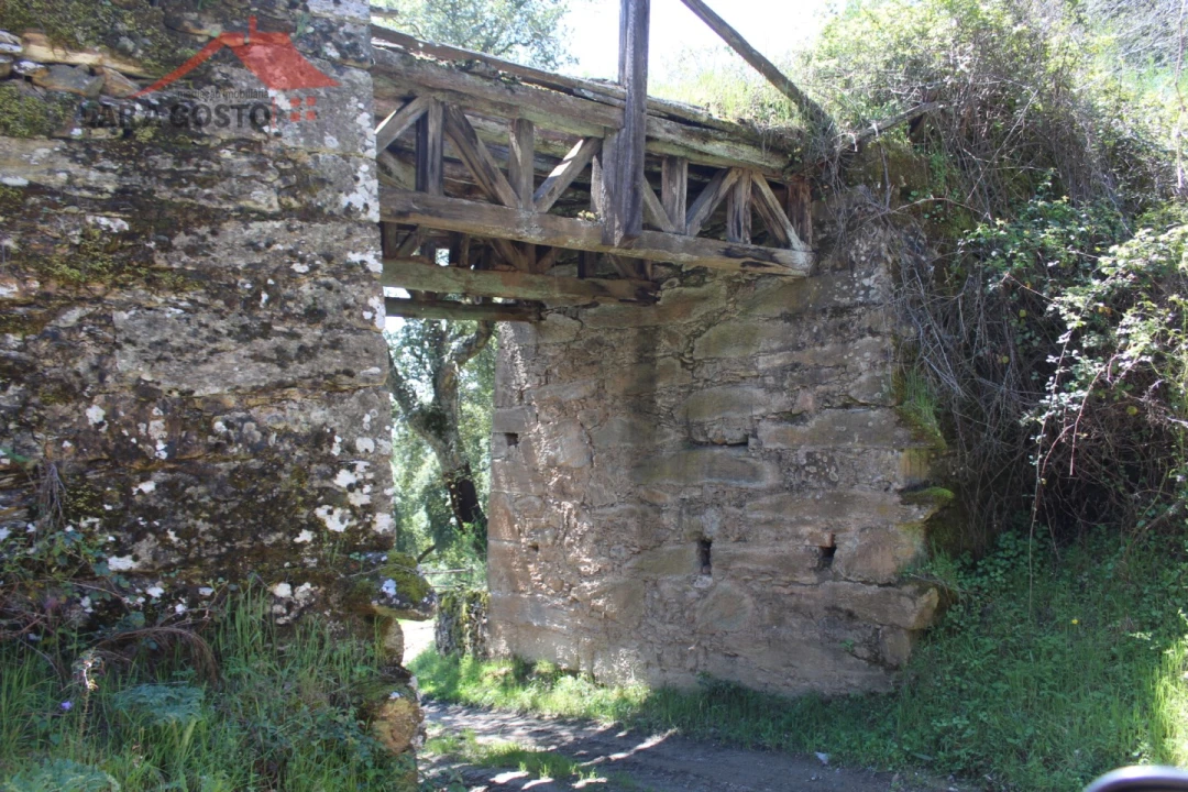 Quinta T20 para Venda em Gebelim e Soeima Foto 22