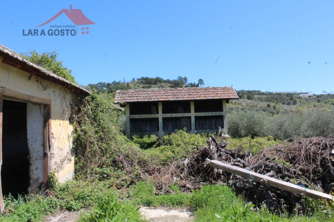 Quinta T20 para Venda em Gebelim e Soeima Foto 30