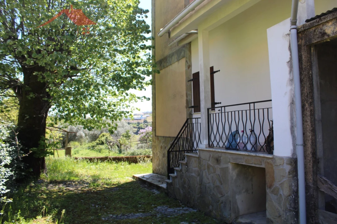 Quinta T20 para Venda em Gebelim e Soeima Foto 38