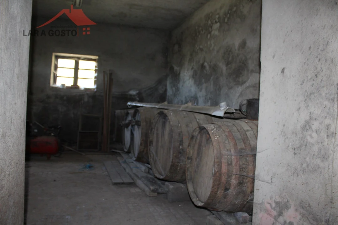 Quinta T20 para Venda em Gebelim e Soeima Foto 43