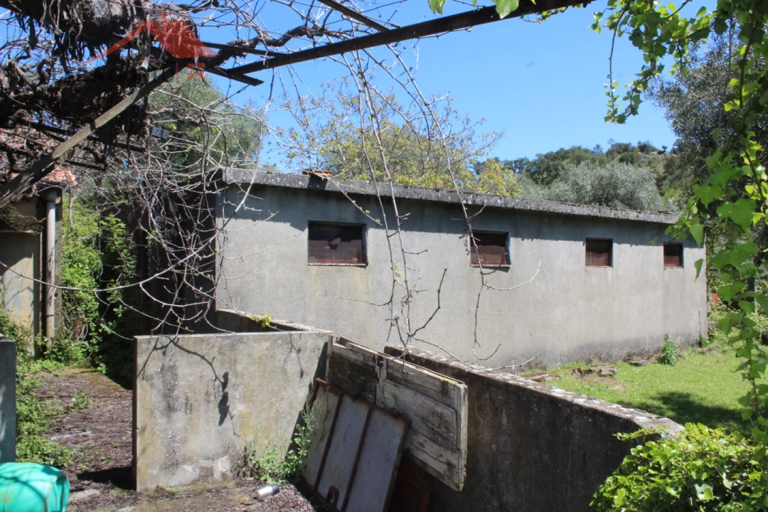 Quinta T20 para Venda em Gebelim e Soeima Foto 59