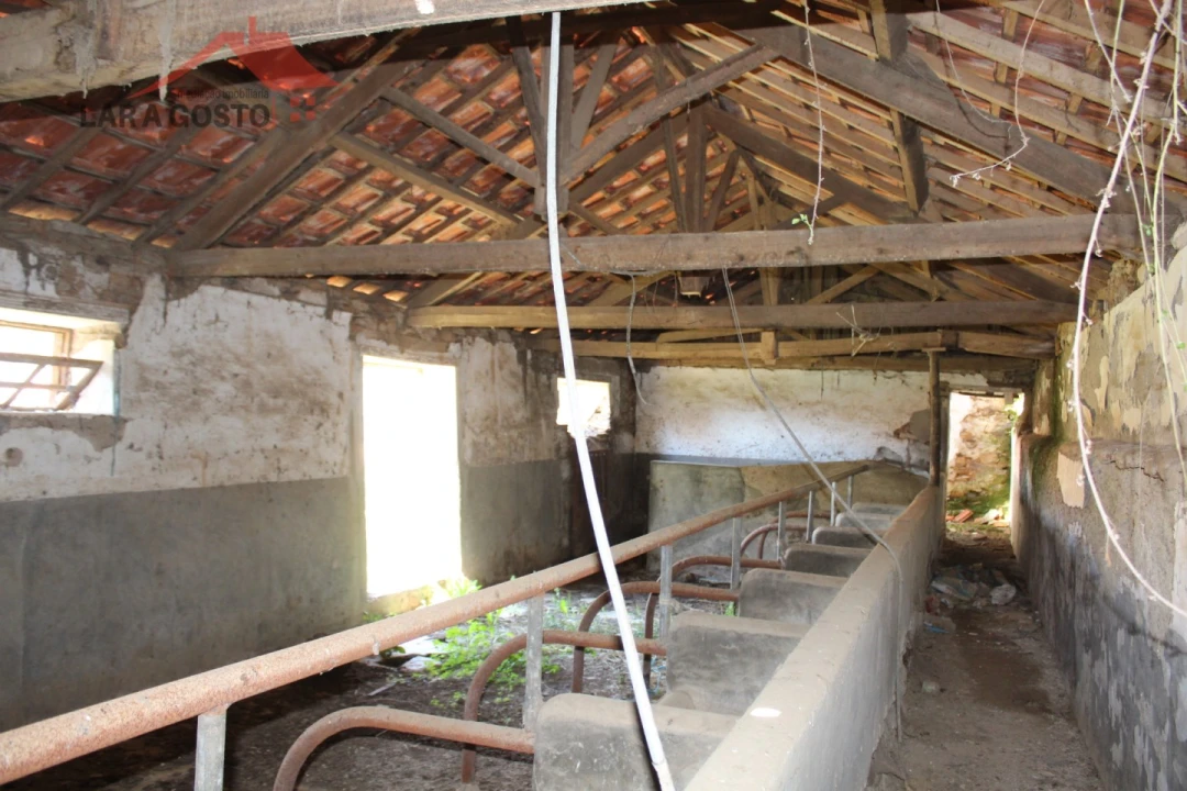 Quinta T20 para Venda em Gebelim e Soeima Foto 62